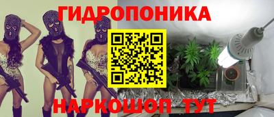 крисы Бузулук