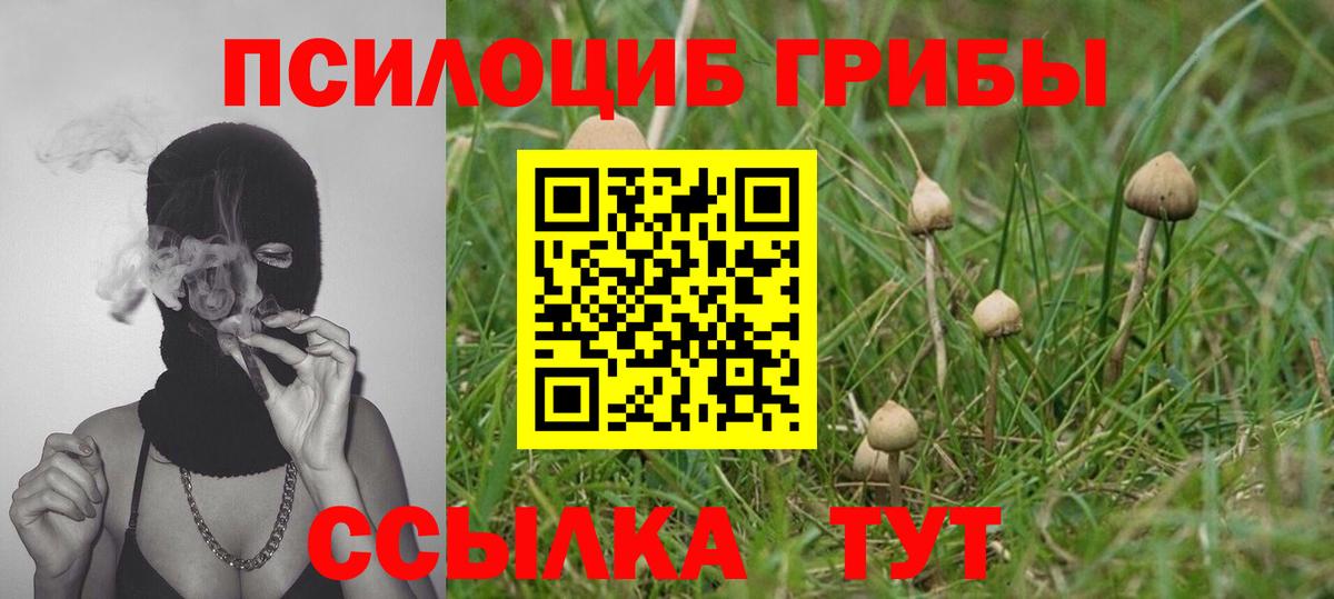 наркотики  Псилоцибиновые грибы MAGIC MUSHROOMS  Вход с VPN  Славгород 